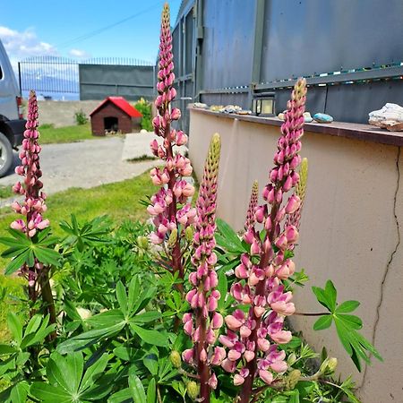 Alem Casa De Familia Hotell Ushuaia Eksteriør bilde